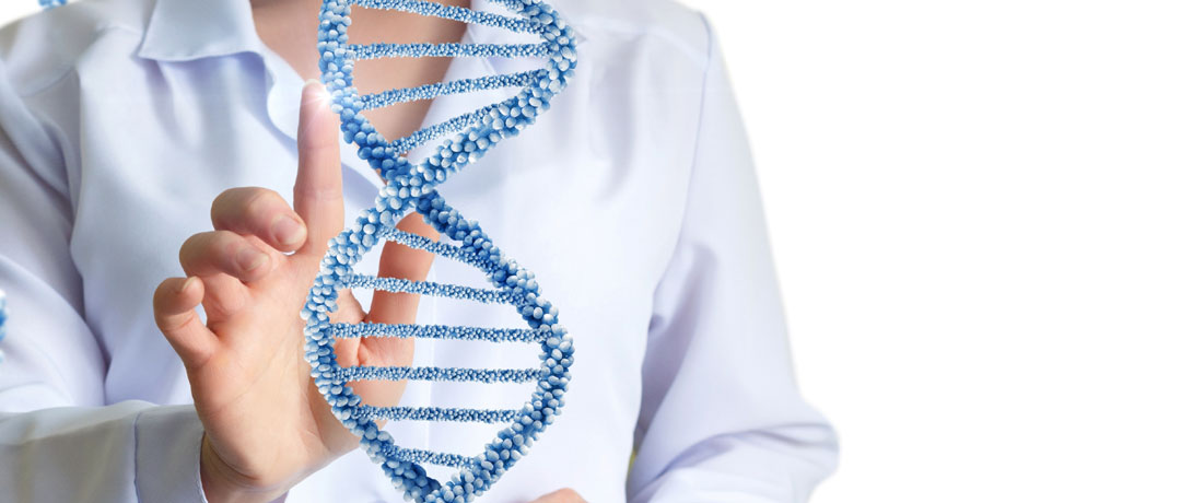 Genetica : quanto conta il DNA per vivere più a lungo?