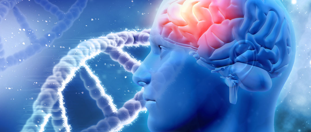 Neurologia e Longevità: come mantenere il cervello in Salute