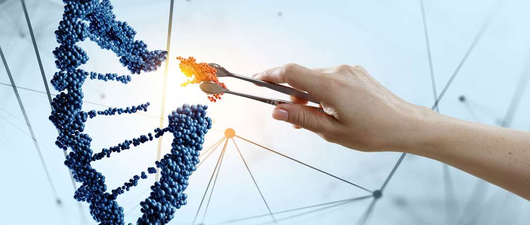 Riparazione del DNA, Proteggere le Cellule per Vivere più a Lungo
