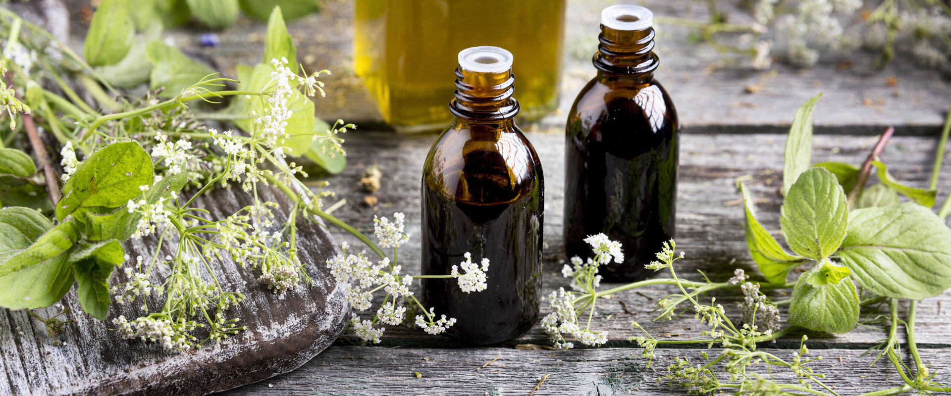 Senolitici naturali: cosa sono e cosa sappiamo